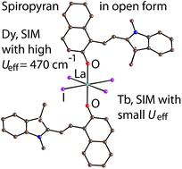 Complexes (TBA+){(TMI-NPS)2·LnIIII4}− (Ln = Dy, Tb) with two axial photochromic spiropyran ligands: photoswitching and zero-field SIM behaviour with a high magnetization blocking barrier for the Dy complex†