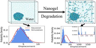 Characterizing dynamic heterogeneities during nanogel degradation†