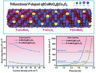 Lattice Strain-Modulated Trifunctional CoMoO4 Polymorph-Based Electrodes for Asymmetric Supercapacitors and Self-Powered Water Splitting
