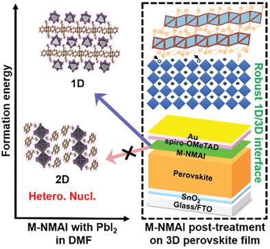 Formation Dynamics of Thermally Stable 1D/3D Perovskite Interfaces for High-Performance Photovoltaics