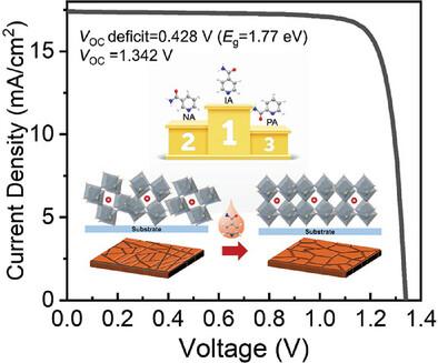 Enhancing Photovoltaically Preferred Orientation in Wide-Bandgap Perovskite for Efficient All-Perovskite Tandem Solar Cells