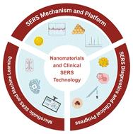 Nanomaterials and clinical SERS technology: broad applications in disease diagnosis