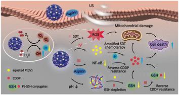 Pt(iv) prodrug as a potent nanosonosensitizer self-cyclically amplifies sonodynamic-chemotherapy with dually reversing cisplatin resistance†