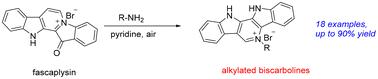 Unexpected amine-triggered skeletal modification of fascaplysin and its derivatives: rapid access to δ,γ-biscarbolines†