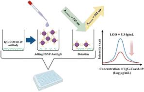 A fluorescence nanosensor based on modified sustainable silica for highly sensitive detection of the SARS-CoV-2 IgG antibody†
