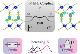 Multiferroic metallic monolayer Cu(CrSe2)2†
