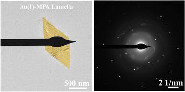 Self-assembly processes of 2D Au(i)–S(CH2)2COOH lamellae†