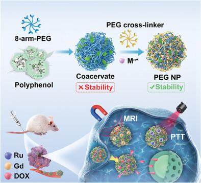 Coacervate-Derived Assembly of Poly(ethylene glycol) Nanoparticles for Combinational Tumor Therapy