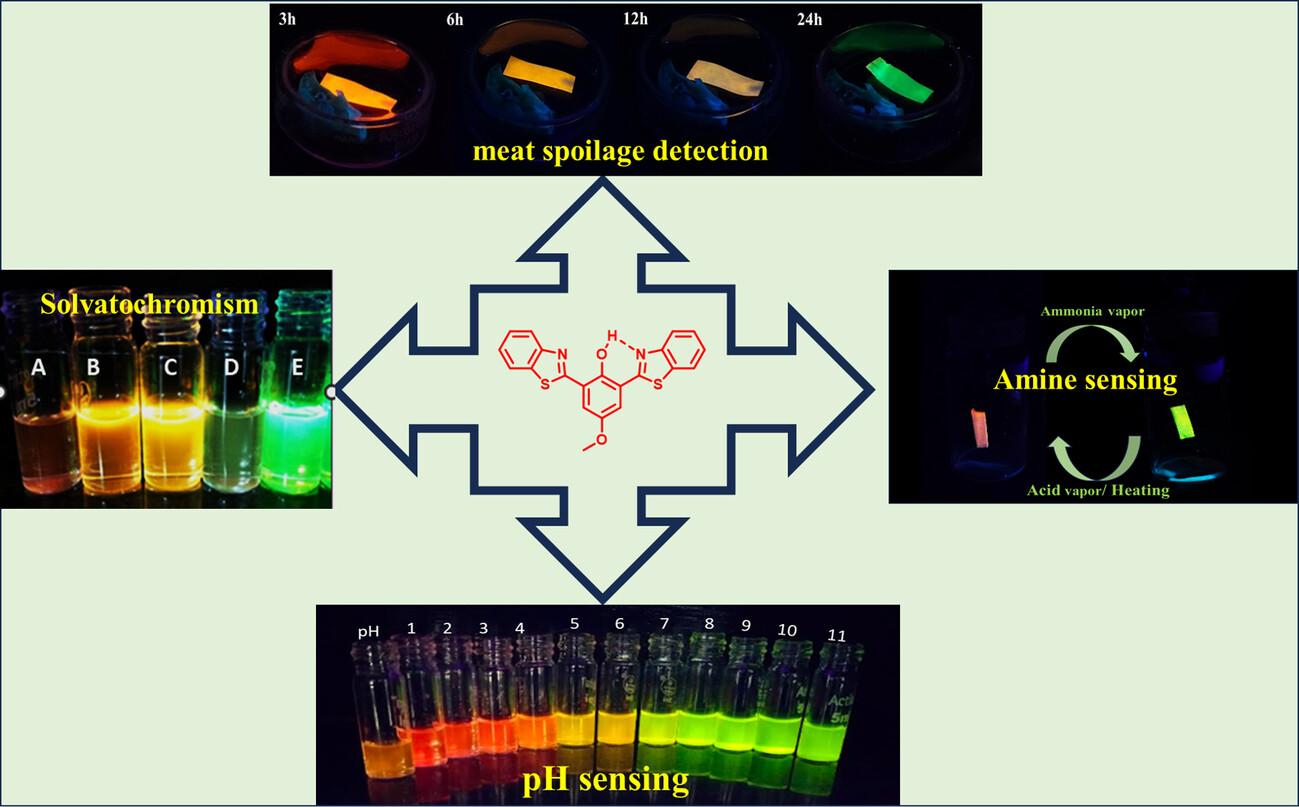 Electronic Substitution Effect on ESIPT-Driven pH and Amine Sensing: Exploring Mechanism