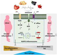 Amelioration of obesity-associated disorders using solanesol with the mitigation of NLRP3 inflammasome activation and macrophage inflammation in adipose tissue†