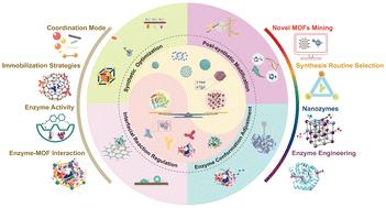 Exploring enzyme–MOF (metal–organic framework) catalytic systems: trade-offs between enzyme activity and MOF stability