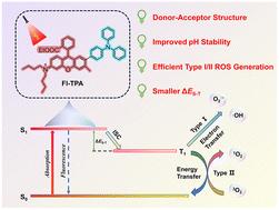 A pH stable fluoran-triphenylamine photosensitizer with efficient type I and type II ROS generation†