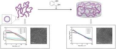 Salicylic acid induces the formation of supramolecular antimicrobial hydrogels from worm-like micelles†