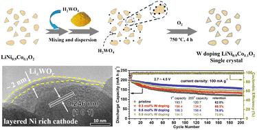 Tungsten doping reinforced structural stability of single-crystal nickel-rich LiNi0.9Co0.1O2 cathodes†