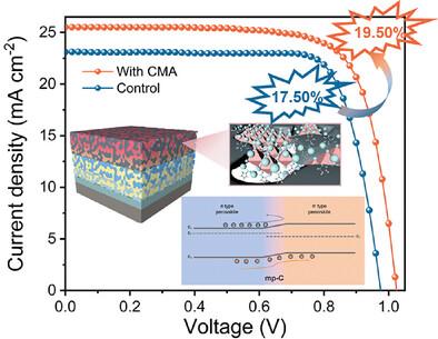 Constructing n/n− Type Perovskite Homojunctions to Achieve High-Efficiency and Stable Printable Mesoscopic Perovskite Solar Cells