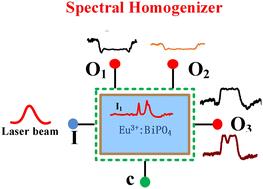 Prospects for photon–phonon dressing and crystal-field non-Hermitian alignment of Eu3+:BiPO4†