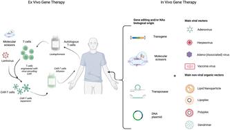 In vivo vectorization and delivery systems for gene therapies and RNA-based therapeutics in oncology†