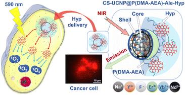 Surface-engineered core–shell upconversion nanoparticles for effective hypericin delivery and multimodal imaging†