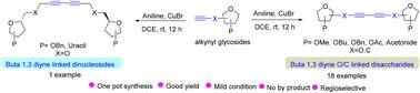 Copper(i)-catalyzed coupling of alkynyl glycosides: synthesis of buta-1,3-diyne-linked disaccharides and dinucleosides†
