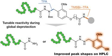 Removable dialkoxybenzyl linker for enhanced HPLC purification of peptide hydrazides†