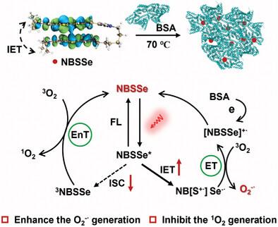 Heterodimeric Photosensitizer as Radical Generators to Promoting Type I Photodynamic Conversion for Hypoxic Tumor Therapy