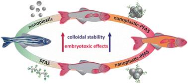 Correlation between the stability and toxicity of PFAS–nanoplastic colloids†