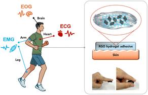 Adhesive, biocompatible, and conductive reduced graphene oxide hydrogel-based bioelectrodes for epidermal electrophysiological signal monitoring†