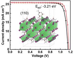 Efficient rigid and flexible perovskite solar cells using strongly adsorbed molecules for lattice repair and grain boundary mitigation†