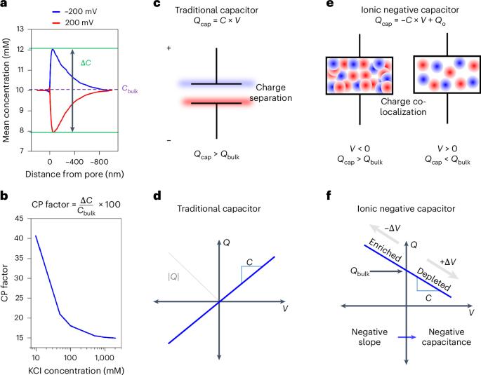 Negative memory capacitance and ionic filtering effects in asymmetric nanopores
