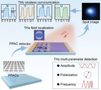 Monolithic Multiparameter Terahertz Nano/Microdetector Based on Plasmon Polariton Atomic Cavity