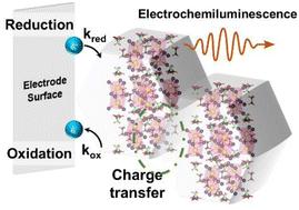 Unveiling interfacial dynamics of zero-dimensional bismuth-based halide perovskite emitters for electrochemiluminescence applications†