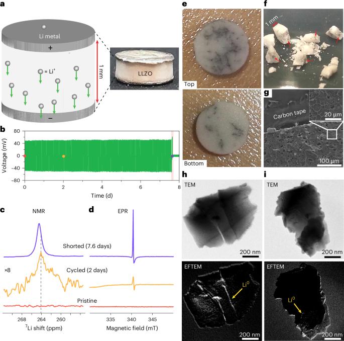 Dendrite formation in solid-state batteries arising from lithium plating and electrolyte reduction