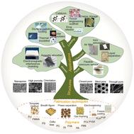 Porous polymers: structure, fabrication and application