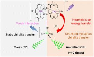 Structural relaxation chirality transfer enhanced circularly polarized luminescence in heteronuclear CeIII–MnII complexes†