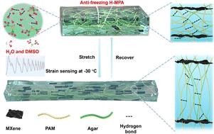 Anti-freezing conductive hydrogels with exceptional mechanical properties and stable sensing performance at −30 °C†