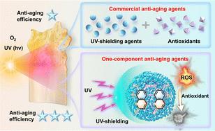 One-component anti-aging agents†