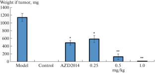 Inhibition of Renal Cell Carcinoma Growth by 1,3-thiazin-6-one Through Targeting the Inflammatory Reaction