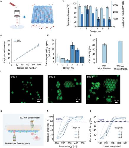 High-Viability Circulating Tumor Cells Sorting From Whole Blood at Single Cell Level Using Laser-Induced Forward Transfer-Assisted Microfiltration