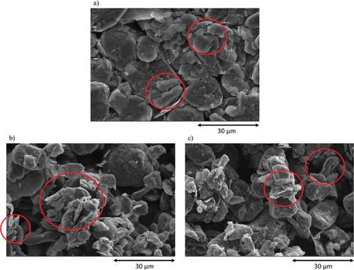 An Assessment of Blended Short Loop Recycled Graphite Electrodes Using X-Ray Micro-Computed Tomography
