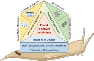 Research progress and challenges in polyimide and polyimide-derived gas separation membranes: A review