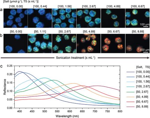 Spray-Assisted Fabrication of Cellulose Photonic Pigments on Superhydrophobic Surfaces