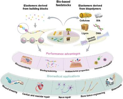 Bio-Based Elastomers: Design, Properties, and Biomedical Applications