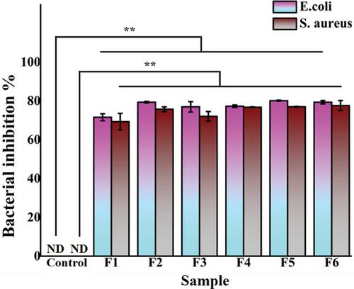 Manufacturing and Biological Potential of Saliva-Loaded Core-Sheath Pressure-Spun Polymeric Fibers