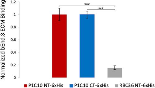 A method for facile production of variable lymphocyte receptors using SHuffle Escherichia coli