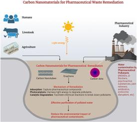 Carbon nanomaterials for emerging contaminant remediation: Addressing pharmaceutical pollution in the water cycle with precision