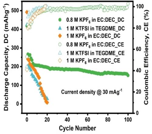 Influence of Electrolyte on the Electrochemical Performance of the Biomass-Derived Hard Carbon for Potassium Ion Batteries