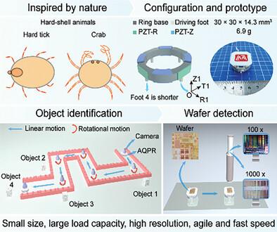 An Agile 3 cm-Scale Quadruped Piezoelectric Robot with a Rigid Ring-Shaped Structure