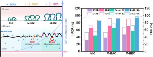 Insights into the role of aromatic cationic surfactants in tailoring interfacial polymerization for high-performance reverse osmosis membranes
