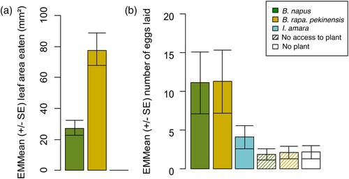 Understanding the impact of host plant factors on the oviposition behaviour of the cabbage stem flea beetle (Psylliodes chrysocephala)