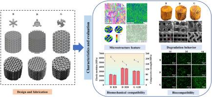 Mechanical properties, degradation behavior, and biocompatibility of porous iron scaffold fabricated by laser powder bed fusion
